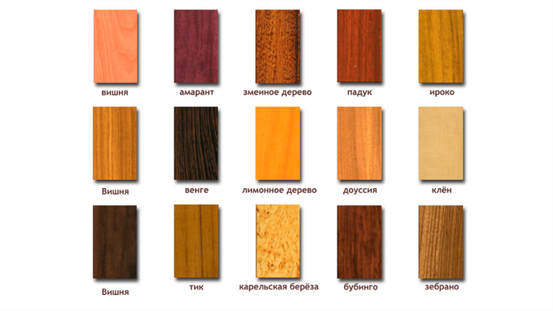 фото породы древесины