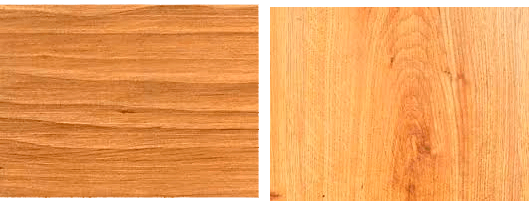 текстура древесины граба
